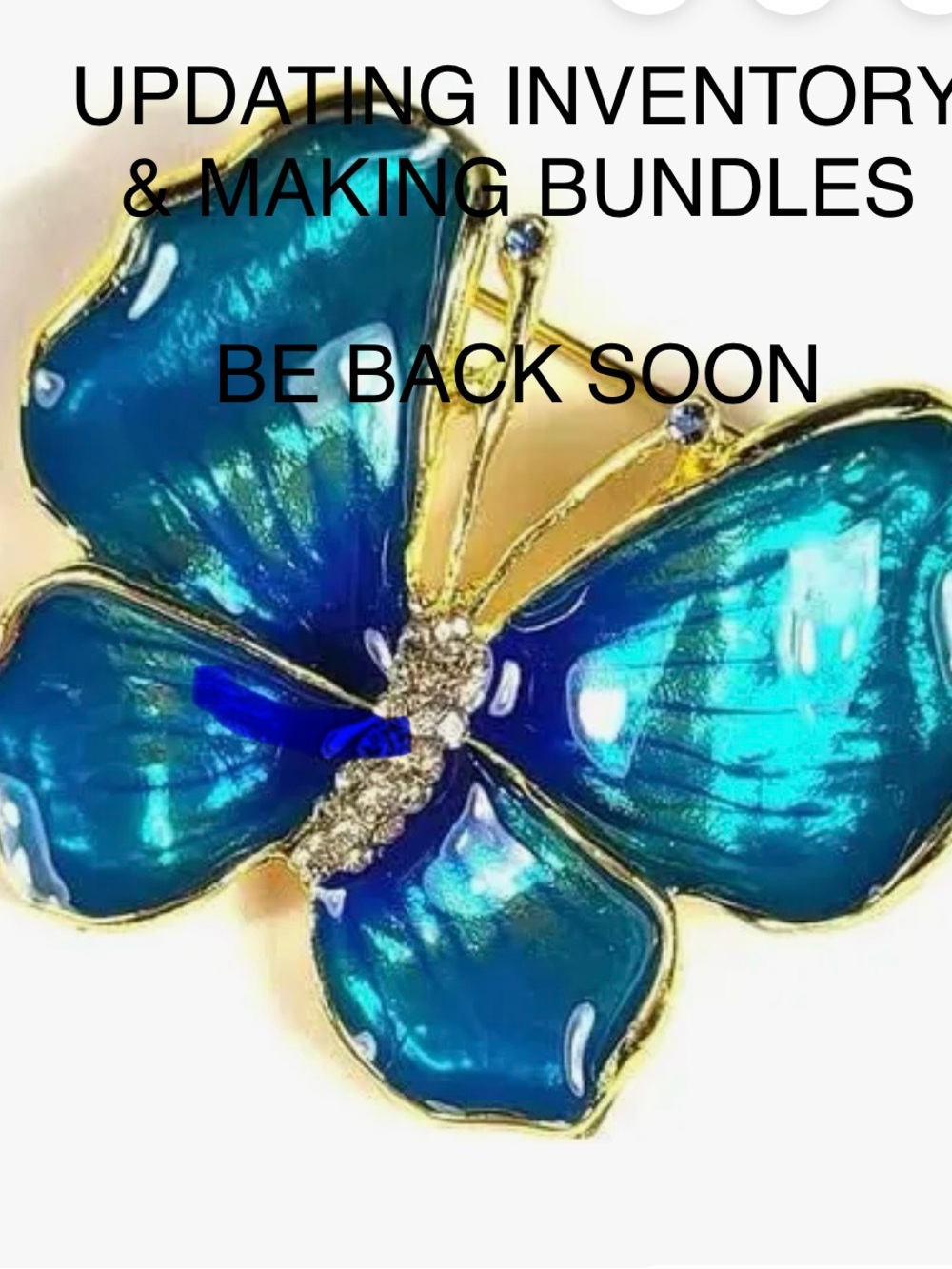 Blue Enamel Butterfly Brooch with Gold Accents